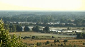 Заливные луга у реки Клязьма возле города Вязники летним утром
