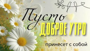 Необычное пожелание доброго утра — короткое видео для близких ☀️