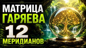 Полная настройка организма и энергетических меридианов | Матрица Гаряева