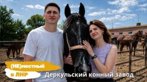 Проект «(Не) местный в ЛНР»: Деркульский конный завод