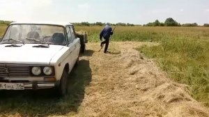 Повезло с сеном.