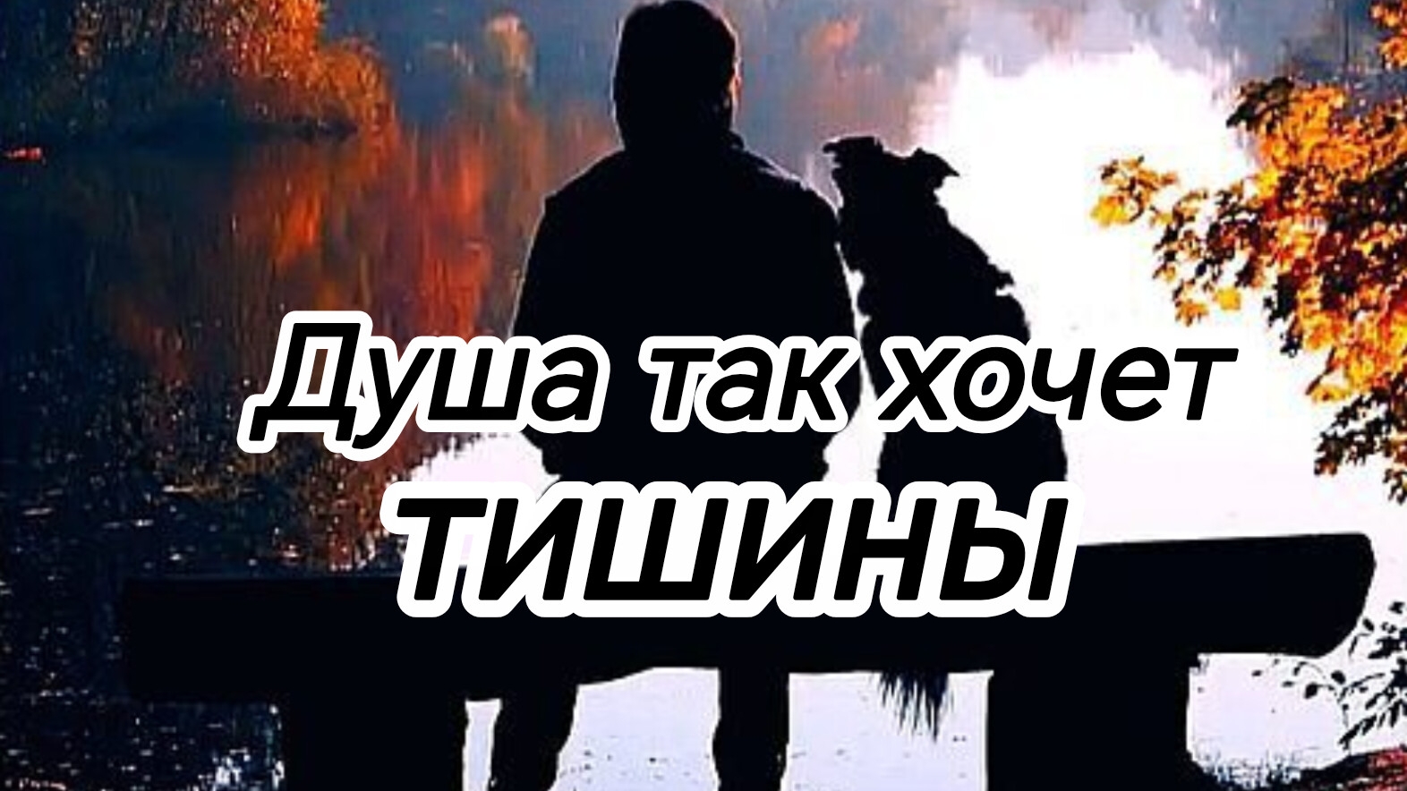 ДУША ТАК ХОЧЕТ ТИШИНЫ. Песни для души.