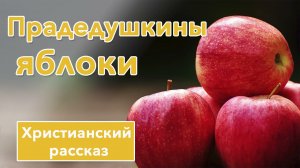 🍎 Прадедушкины яблоки - ИНТЕРЕСНЫЙ ХРИСТИАНСКИЙ РАССКАЗ | Христианские рассказы