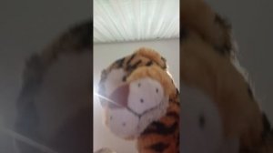 знакомьтесь, это Борька.