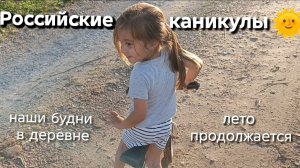 Грибы, огороди прогулки. Распаковка из ОЗОН.