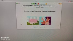 Квесты дня:русский, математика и окружайка🤓