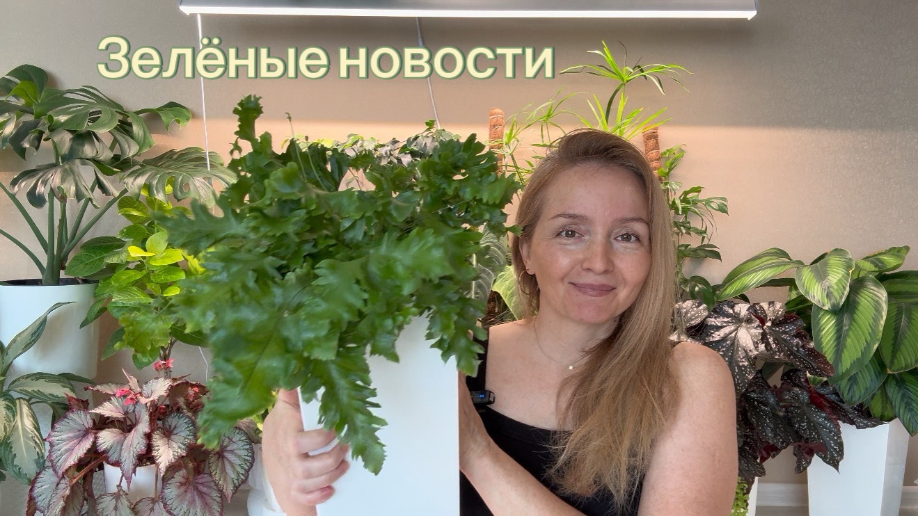 Зелёные новости💚