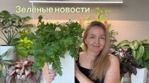 Зелёные новости💚