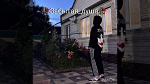 Цыганская Песня (( я прибыл из дали увидеться с отцом))🙂🫂🫀 подпишись