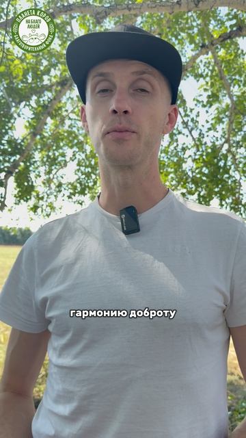 Коровка Кунти
