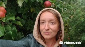 VLOG: Мой тихий вечер в саду 🍎 Красивый закат и спелые яблоки.