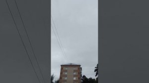 VID_20260814_171456.mp4