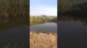 эфир на рыбалке