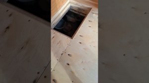 1000067021.mp4 (Собака слушает о технологии укладки л/фанеры в гостиной, на кухне в доме А-фрейм)