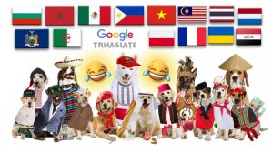 Подборка мемов с собаками в Google Translate