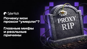 Почему мои прокси “умерли”? Главные мифы и реальные причины