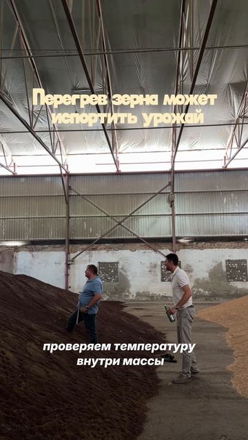 Перегрев зерна может испортить урожай