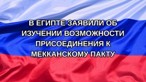 |Н. РФ| В Египте заявили об изучении возможности присоединения к Мекканскому пакту