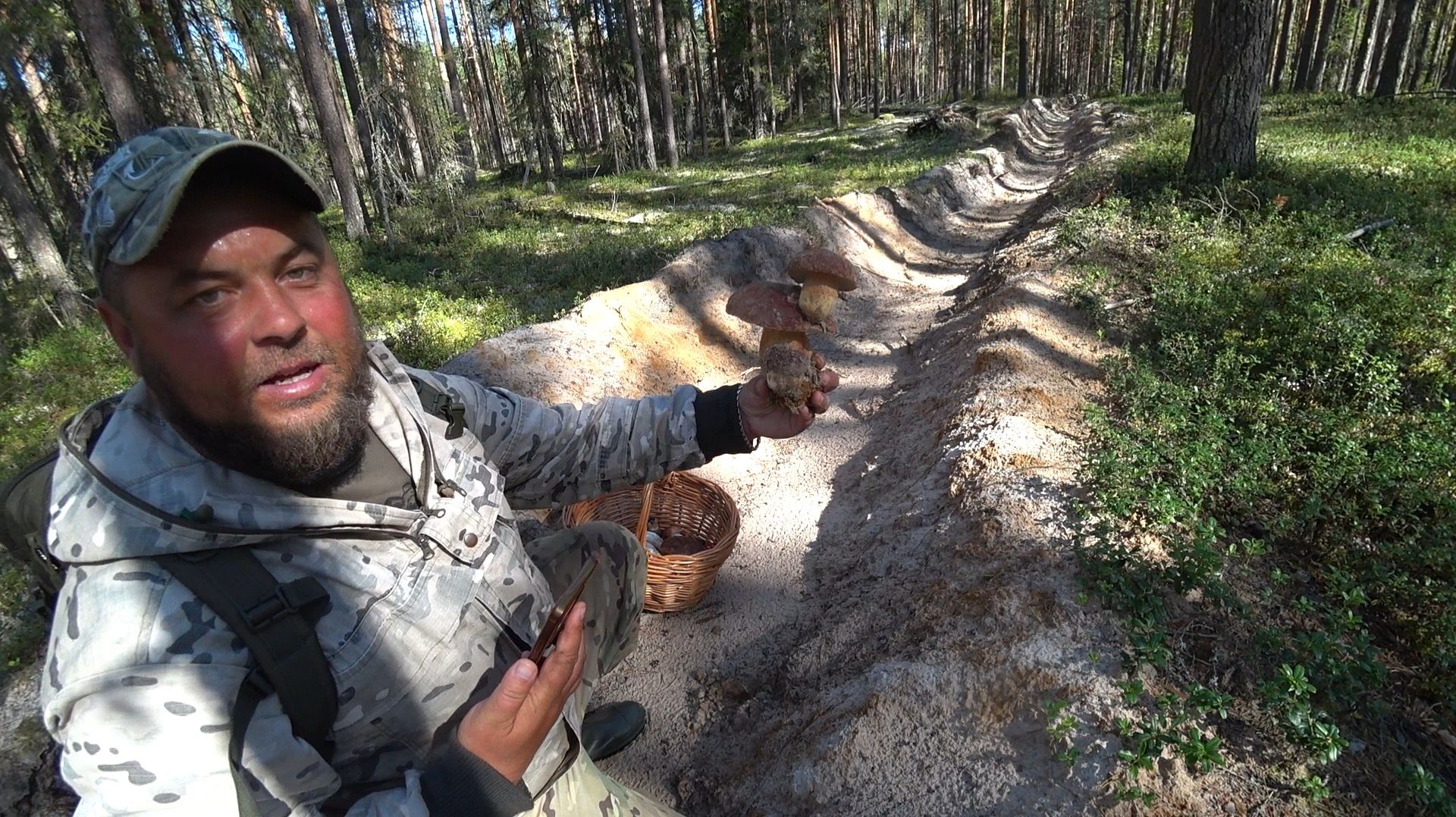 ТРАКТОР ВЫРЫЛ ЭТО В ЛЕСУ, А ТАМ НАЧАЛИ РАСТИ БОРОВИКИ! ТРОЙНЫЕ, КОСЫЕ И ВСЕ В ПЕСКУ \БЕЛЫЙ ГРИБ 2026