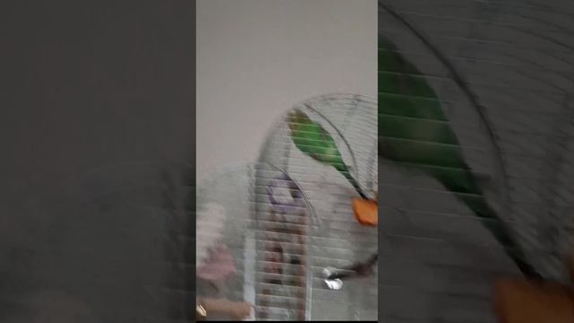 Самые страшные существа