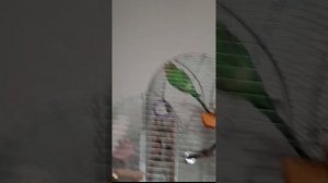 Самые страшные существа