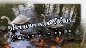 Эльвира Цепляева, Плач любви, читает Ната Звонка, стихи для души