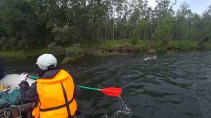 Камчатка сплав по р.Быстрая. Рыбалка ловля гольца и хариуса