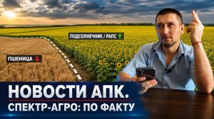 №19 Урожай растёт, цены падают / Фермеры уходят от зерновых / Экспорт дорожает