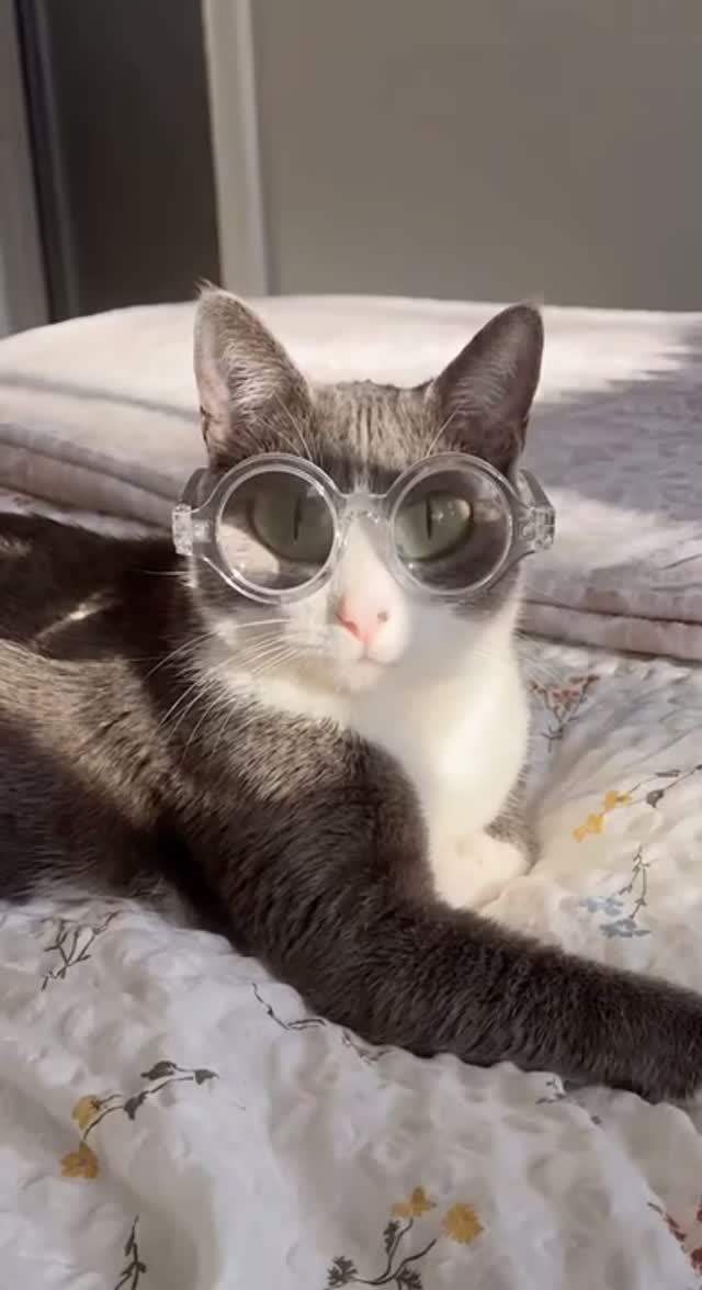 Ученый)))