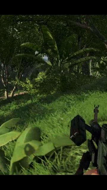 Far Cry 3 