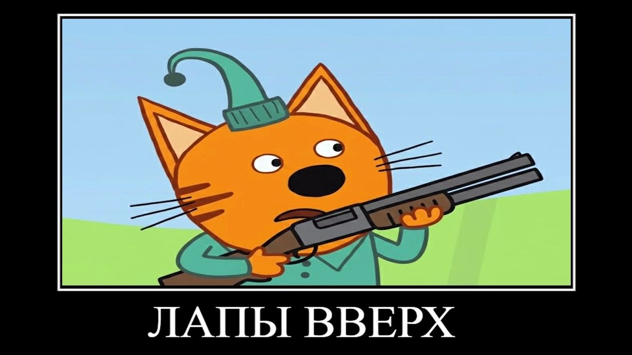три кота демотиватор регата горжата 🖼️