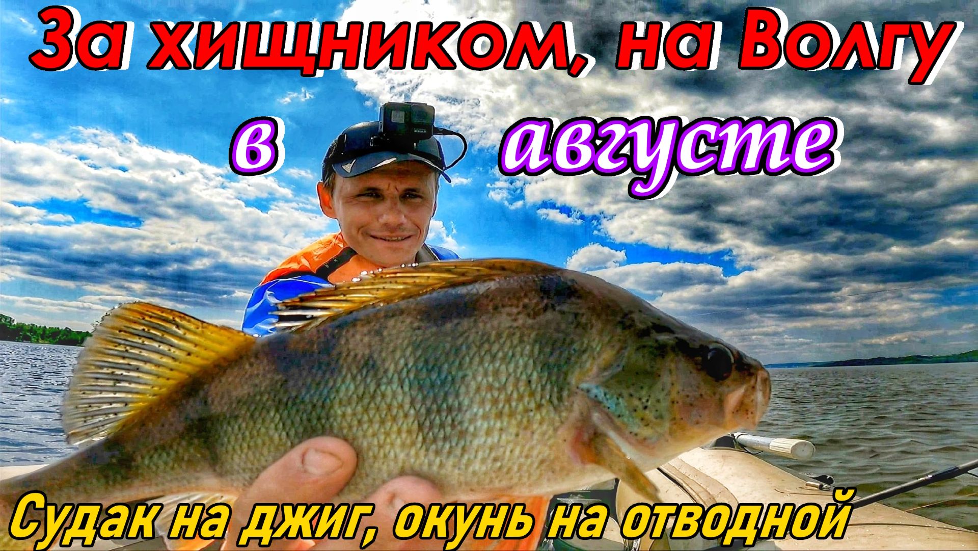 КАК ПОЙМАТЬ ХИЩНИКА НА ВОЛГЕ В АВГУСТЕ?/СУДАК НА ДЖИГ/ОКУНЬ НА ОТВОДНОЙ ПОВОДОК/РЫБАЛКА В САМАРЕ