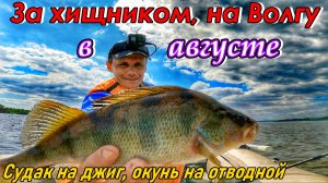 КАК ПОЙМАТЬ ХИЩНИКА НА ВОЛГЕ В АВГУСТЕ?/СУДАК НА ДЖИГ/ОКУНЬ НА ОТВОДНОЙ ПОВОДОК/РЫБАЛКА В САМАРЕ