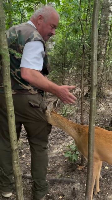 И так бывает 🦌👍