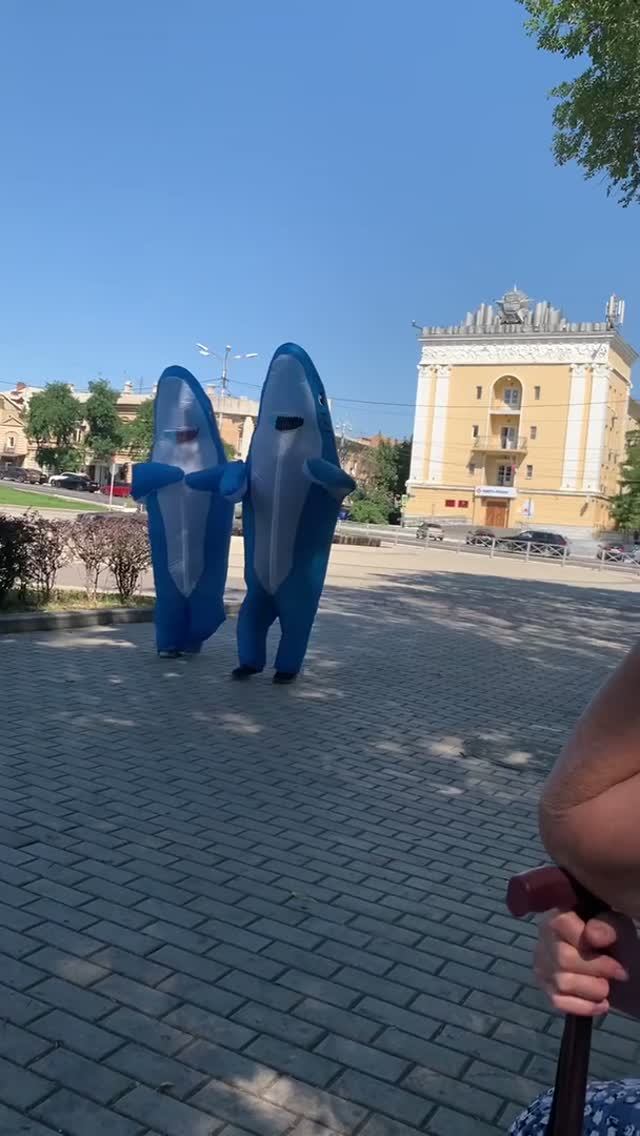Акуленок ту-ту-ру-ру #Астрахань жара 38 и акулята