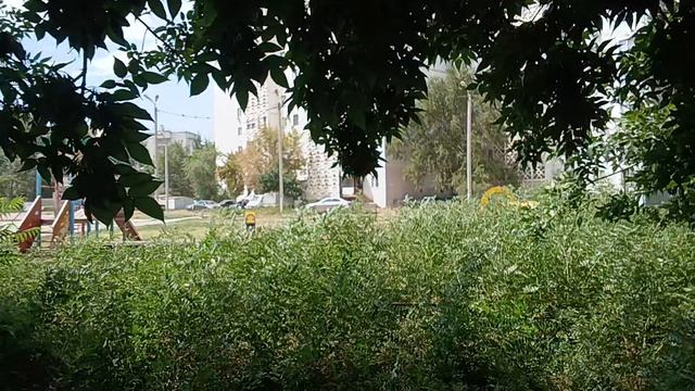КАНАЛ НЕРАВНЫЙ БРАК ......СЕЛЬЧАНЕ.

😅💗💗💗