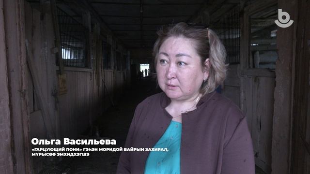 Һайн хэрэгтэ сугтаа! Арга туһаламжа