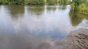 Мормышинг🎣 Ловля Окуня на мормышку 1 грамм, приманка Eleven Lures Micro Trap 1.5 (Кислотный цвет).
