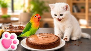 Кефир хочет торт! Кот, крем и Маша — забавный кухонный беспорядок 🍰🐱 | Для детей