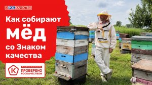 Как собирают мёд со Знаком качества?