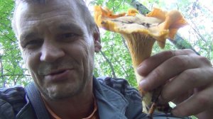 Грибы ЛИСИЧКИ Как и Где Собирать и Как приготовить Грибы Лисички 13 августа 2026