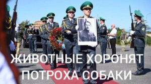 Хоронят украинского террориста Коновальца. Все как надо - тряпочки, Зеленский-югенд и девахи в вышив