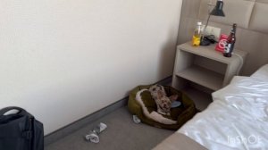 Отпуск длиною в месяц. 2 Часть. Поездка из Петербурга в Анапу на машине.