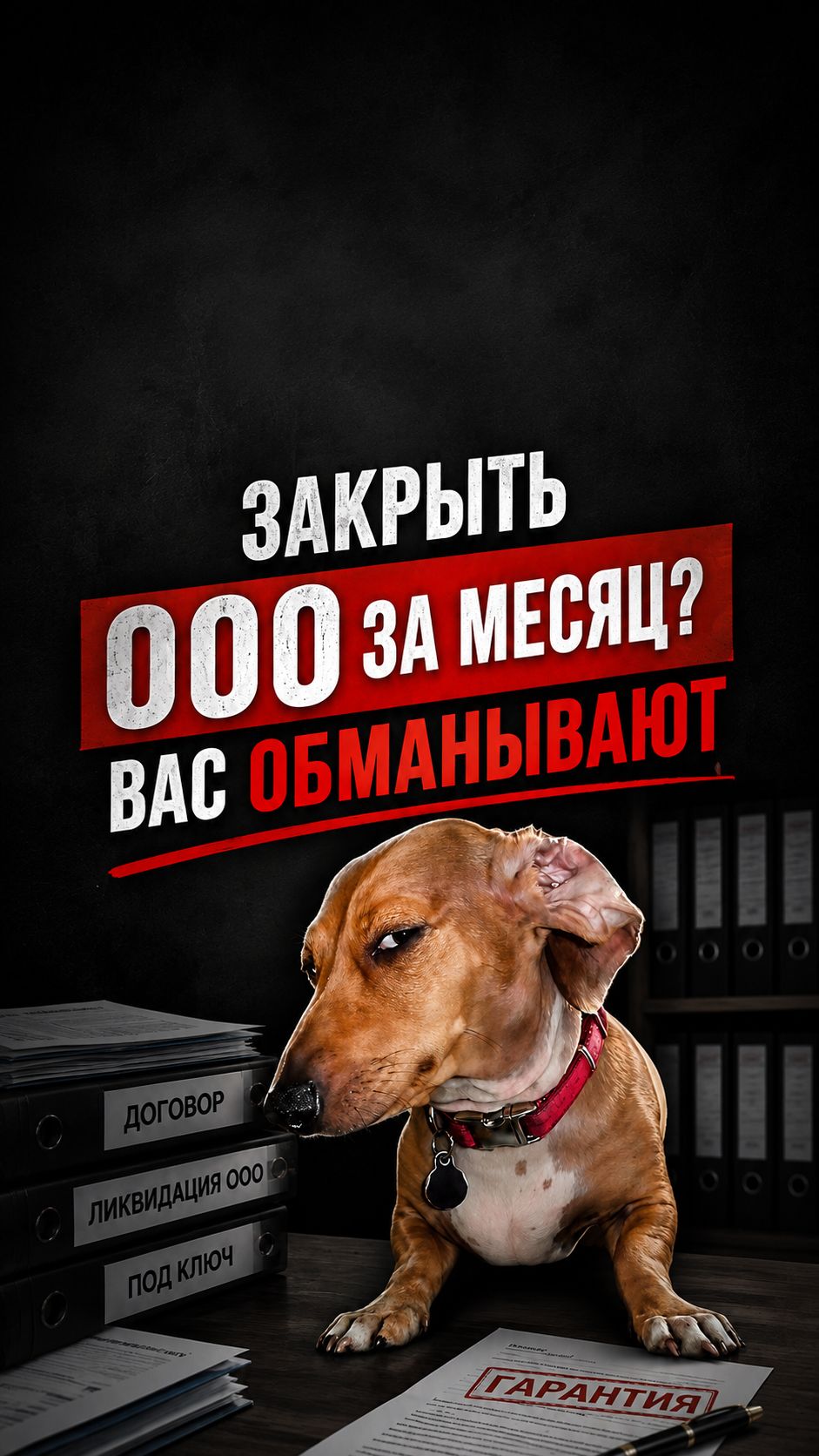 ЗАКРЫТЬ ООО ЗА МЕСЯЦ? ВАС ОБМАНЫВАЮТ