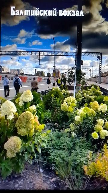Санкт-Петербург, Балтийский вокзал, один из самых первых вокзалов города .