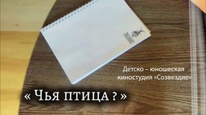 «ЧЬЯ ПТИЦА»