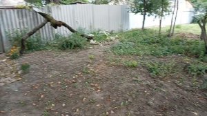 14 августа. Собираю помидорки. Сварила варенье кизил плюс слива. Продвижение кардигана в школу. Юг .