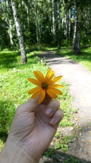 мукбанг