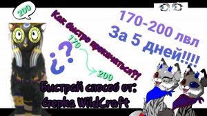 Как быстро прокачаться в Wildcraft с 170 до 200 уровня за 5 дней!