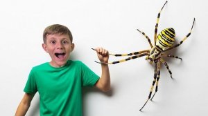 Поймал ПАУКА ОСУ! 🕷 Аргиопа Брюнниха — Опасен ли он для человека?